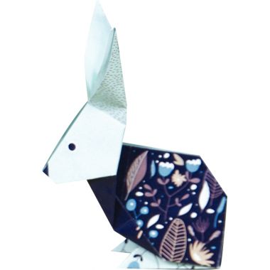 Pochette 60 feuilles origami 3 formats animaux de la foret
