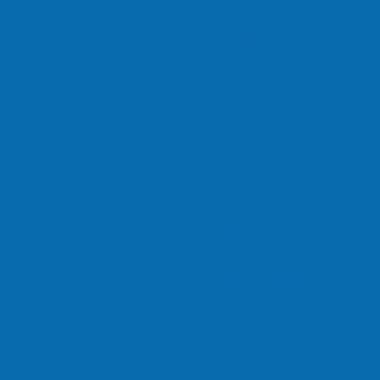 Lot de 10 flacons 250 ml de peinture vinylique plastifiante, couleurs vives assorties
