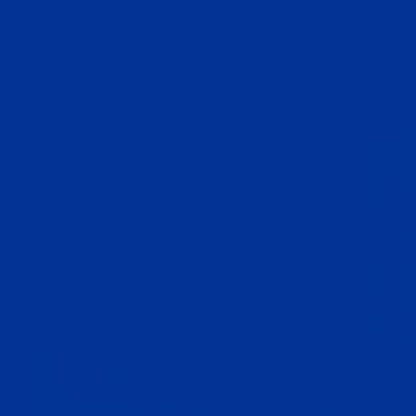 Lot de 10 flacons 250 ml de peinture vinylique plastifiante, couleurs vives assorties