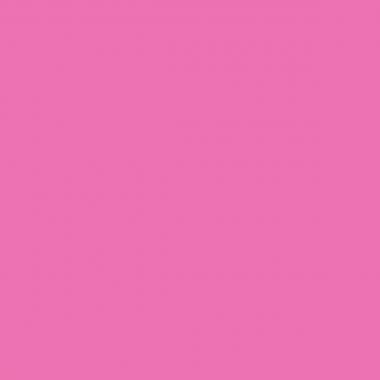 Lot de 10 flacons 250 ml de peinture vinylique plastifiante, couleurs vives assorties