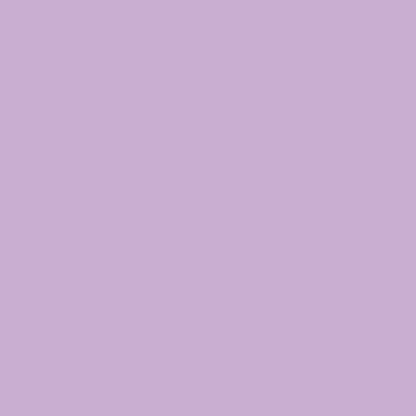Carton de 4 Flacons 500 ml de peinture pailletée, coloris pastel assortis