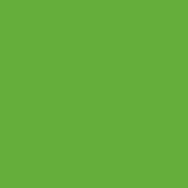 Lot de 4 Flacons 250 ml d'encres indiennes coloris fluo