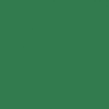 Marqueur Posca MOP'R vert foncé