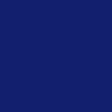 Boite de 12 sticks 40g PLAYCOLOR mural