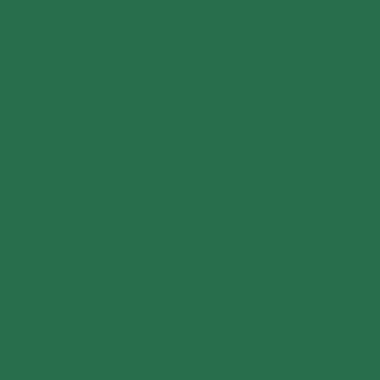 Boite de 12 sticks 40g PLAYCOLOR mural