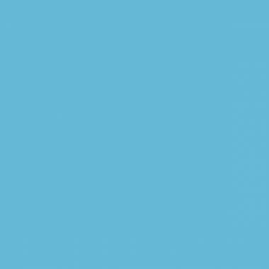 Boite de 12 sticks 40g PLAYCOLOR mural