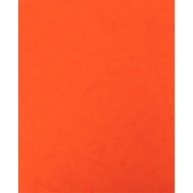 Lot de 10 protège-cahier 2 grands rabats  format 18 x 22 cm carte lustrée coloris orange