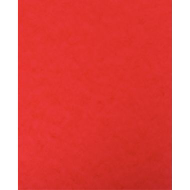 lot de 10 protège-cahier 2 grands rabats  format 18 x 22 cm carte lustrée coloris rouge