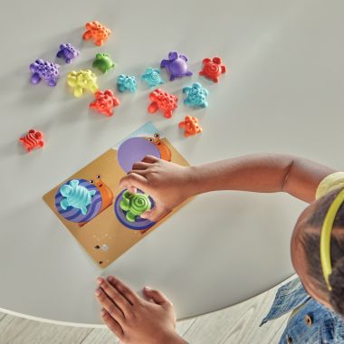 Boite d'activités les tortues