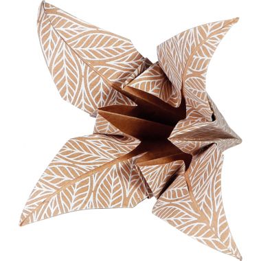 Pochette 60 feuillles origami 3 formats kraft floral