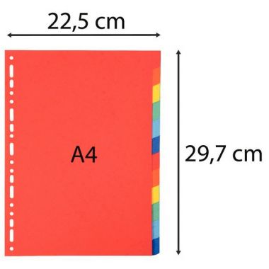 Exacompta - Jeu de 12 intercalaires en carte recyclée 220g, format A4 - 2012E