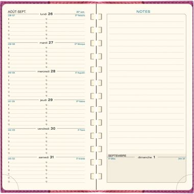 Agenda semainier Cordoba 9x17.5cm Rose
