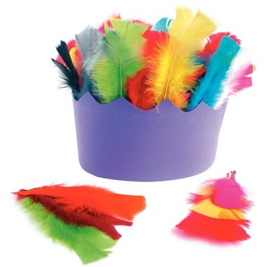 Sachet de 25 grammes de plumes de dinde, couleurs assorties