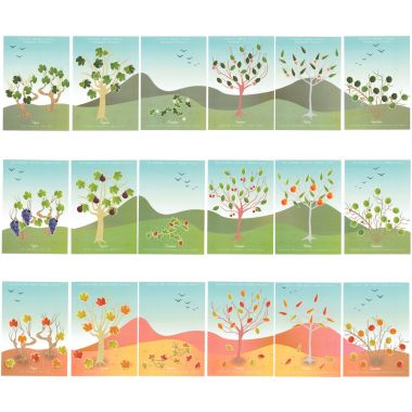 Pochette de 576 gommettes évolution des 4 saisons repositionnables