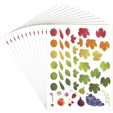 Pochette de 576 gommettes évolution des 4 saisons repositionnables
