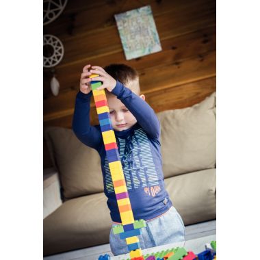 Carton de 500 briques de construction BIOBUDDI BIG