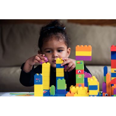 Carton de 500 briques de construction BIOBUDDI BIG