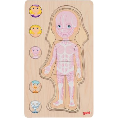 Puzzle 5 niveaux le corps humain, fille