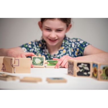 Boite de 6 puzzles en bois, cycles de vie