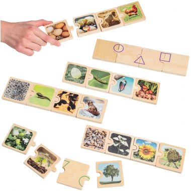 Boite de 6 puzzles en bois, cycles de vie