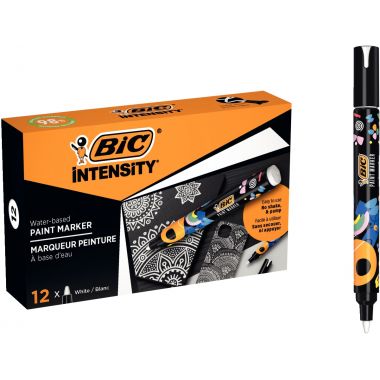 Boîte de 12 marqueurs peinture Intensity blancs