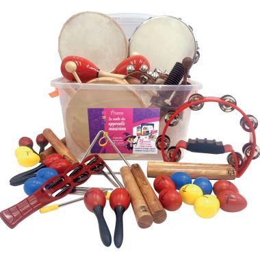 Malle de 25 instruments des apprentis musiciens