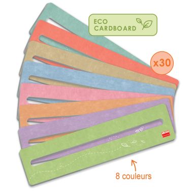 Lot de 30 guides de lecture