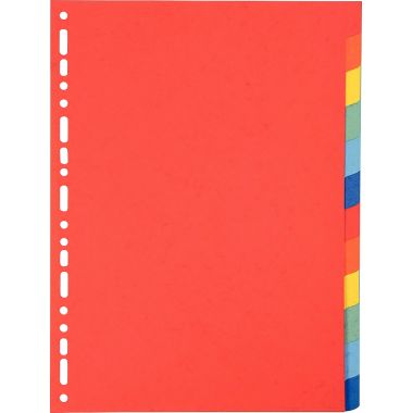 Exacompta - Jeu de 12 intercalaires en carte recyclée 220g, format A4 - 2012E