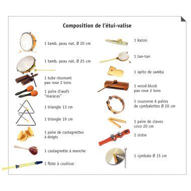 Etui valise de 17 instruments de musique