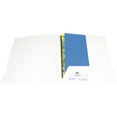 Exacompta - Boite de 20 chemises de présentation CHROMOLUX, 24x32 cm, coloris blanc - 635017E