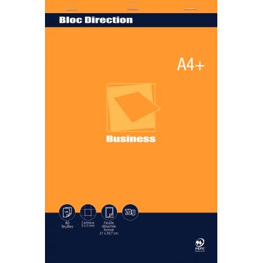 Bloc direction 80 feuilles BUSINESS, format A4+, quadrillé 5x5, papier 70g