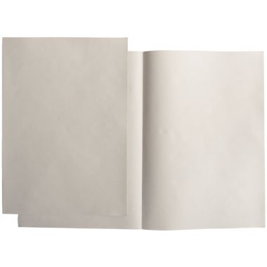 Exacompta - Paquet de 250 sous-chemises 60g format 22x31 cm gris - 850009E
