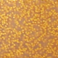 Flacon 500 ml de gel de paillettes MAJUSCULE, or