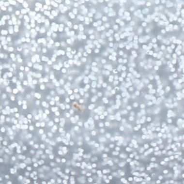 Flacon 500 ml de gel de paillettes MAJUSCULE, argent