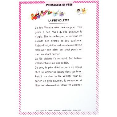Boite de 50 grandes images Les Princesses et les Fées