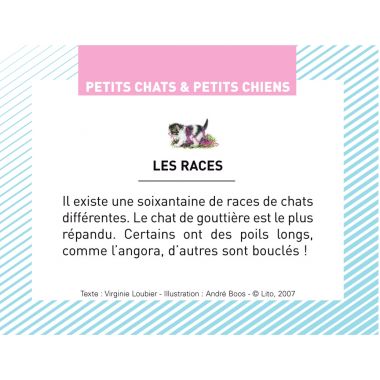 Boite de 100 images Petits chats et petits chiens