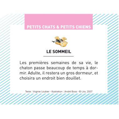Boite de 100 images Petits chats et petits chiens
