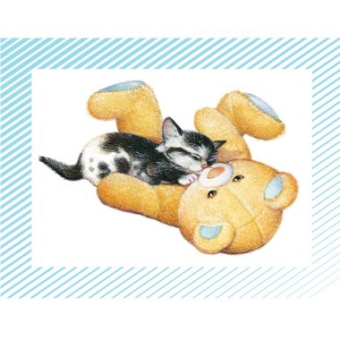 Boite de 100 images Petits chats et petits chiens