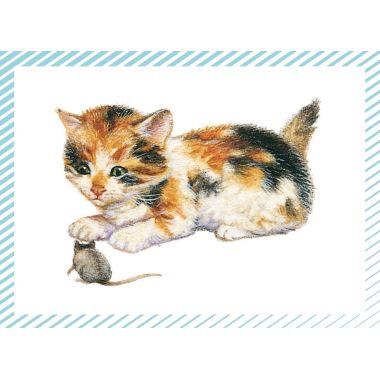 Boite de 100 images Petits chats et petits chiens