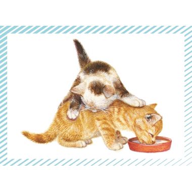 Boite de 100 images Petits chats et petits chiens