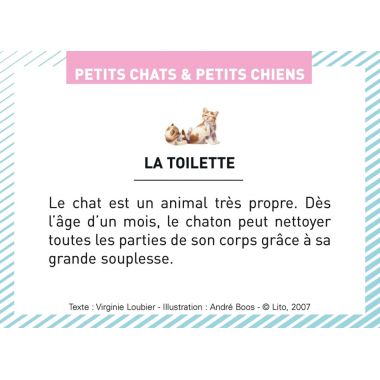 Boite de 100 images Petits chats et petits chiens