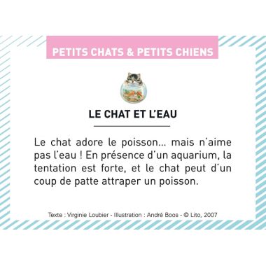Boite de 100 images Petits chats et petits chiens