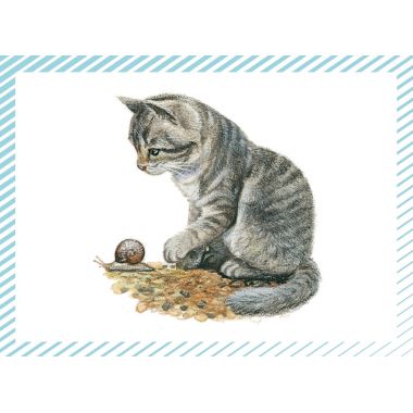 Boite de 100 images Petits chats et petits chiens