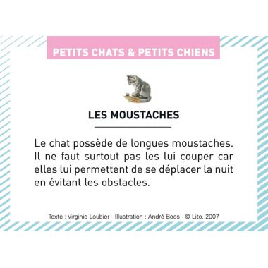 Boite de 100 images Petits chats et petits chiens