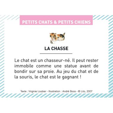Boite de 100 images Petits chats et petits chiens