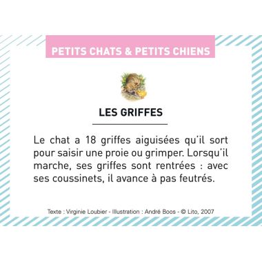 Boite de 100 images Petits chats et petits chiens