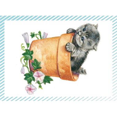 Boite de 100 images Petits chats et petits chiens