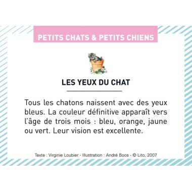 Boite de 100 images Petits chats et petits chiens
