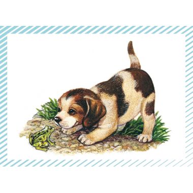 Boite de 100 images Petits chats et petits chiens