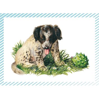 Boite de 100 images Petits chats et petits chiens